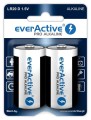 everActive Baterie LR20/D blister 2 szt.