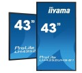 IIYAMA Monitor wielkoformatowy 42.5 cala LH4352UHS-B1 4K,24/7,SDM,IPS,ANDROID,500cd,DaisyChain