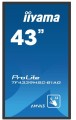 IIYAMA Monitor wielkoformatowy 43 cale TF4339MSC-B1AG,AMVA,HDMIx2,DP,RJ45,IP54,24/7,POJ.12p