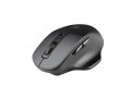 Natec Mysz bezprzewodowa Blackbird 2 1600 DPI z cichym klikiem Czarna