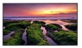Samsung Monitor profesjonalny QB55B 55 cali Błyszczący 16h/7 350(cd/m2) 3840 x 2160 (UHD) S10 Player (Tizen 6.5) WiFi/BT 3 lata d2d (LH55QBBEBGCXEN)