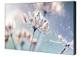 Samsung Monitor wielkoformatowy 46 cali VM46B-U LH46VMBUBGBXEN