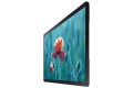 Samsung Monitor 24 cale QB24R-TB LH24QBRTFGCXEN