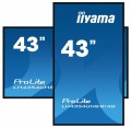 IIYAMA Monitor 43 cale LH4354UHS-B1G 24/7, IPS, ANDROID.11, 4K, SDM, 2x10W
