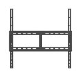 Optoma Monitor interaktywny IFPD N3651K H1F2C0FBW101