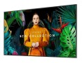 Samsung Monitor profesjonalny QM75C 75 cali Matowy 24h/7 500(cd/m2) 3840 x 2160 (UHD) S10 Player (Tizen 7) Wi-Fi/BT 3 lata d2d (LH75QMCEBGCXEN)