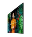 Samsung Monitor profesjonalny QM75C 75 cali Matowy 24h/7 500(cd/m2) 3840 x 2160 (UHD) S10 Player (Tizen 7) Wi-Fi/BT 3 lata d2d (LH75QMCEBGCXEN)