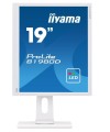 IIYAMA Monitor 19 cali B1980D-W1 DVI/VGA/5:4/PIVOT/HAS/ACR/VESA