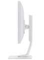 IIYAMA Monitor 19 cali B1980D-W1 DVI/VGA/5:4/PIVOT/HAS/ACR/VESA