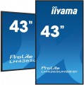 IIYAMA Monitor 43 cale LH4365UHSB-B1 24/7, IPS, ANDROID 11, 4K, 800cd, iiSignage2, SDM, 2x HDMI, DP, 2x USB,2x 10W, RJ45, WiFi, 4/32GB, PION/POZIOM, 4