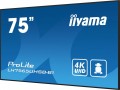 IIYAMA Monitor 75 cali LH7565UHSB-B1, 24/7, IPS, ANDROID 11, 4K, 800cd, iiSignage2, SDM, 2x HDMI, DP, 2x USB,2x 10W, RJ45, WiFi, 4/32GB, PION/POZIOM,