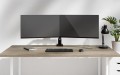Neomounts Ramię do monitora DS60-600BL2