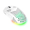Trust Mysz bezprzewodowa GXT 929W Helox biała