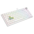 Savio Klawiatura magnetyczna ASTRAL White OUTEMU White jade RGB