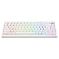 Savio Klawiatura magnetyczna ASTRAL White OUTEMU White jade RGB