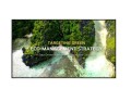 LG Electronics Monitor wielkoformatowy 75 cali 75UL3Q-E 350nit UHD 16/7