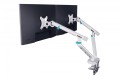 Digitus Ramię biurkowe podwójne z zaciskiem i sprężyną mechaniczną 2x LCD max. 35" obciążenie 2x10kg, VESA: 75x75, 100x100, białe