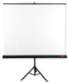 AVTek Ekran na statywie Tripod Standard 175, 1:1, 175x175cm, powierzchnia biała, matowa