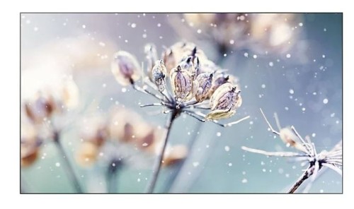 Samsung Monitor wielkoformatowy 46 cali VM46B-U LH46VMBUBGBXEN