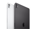 Apple iPad Pro 13-calowy Wi-Fi + Cellular 512GB ze szkłem standardowym - Srebrny