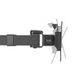 LogiLink Uchwyt na 2 monitory,17 -32 cale, ramie 380mm,2x12kg