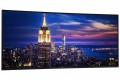 Dell Monitor 52 cale U5226KW IPS 6K 21:9/HDMI/DP/USBC/RJ45/3Y/Curved