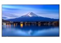 Sharp Monitor wielkoformatowy MultiSync P556 55 cali UHD 700cd/m2 24/7