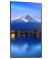 Sharp Monitor wielkoformatowy MultiSync P556 55 cali UHD 700cd/m2 24/7