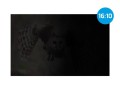 Natec Filtr prywatyzujący RODO Owl 14'' 16:10