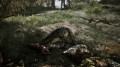Plaion Gra Xbox Series X Gothic Remake