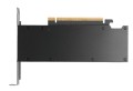 PNY Karta graficzna NVIDIA RTX PRO 4000 LP BOX VCNRTXPRO4000LP-PB