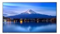 Sharp Monitor MultiSync P436 43 cale UHD 24/7 700cd/m2