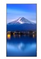Sharp Monitor MultiSync P436 43 cale UHD 24/7 700cd/m2