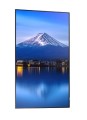 Sharp Monitor MultiSync P436 43 cale UHD 24/7 700cd/m2