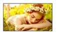 LG Electronics Monitor wielkoformatowy 65UL5Q-M 500cd/m2 UHD 24/7
