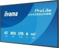 IIYAMA Monitor  profesjonalny 43 cale LH4366UHSB-B1AG 4K, VA, A14, 800cd, 4000:1, 6,5ms,2xHDMI, USB-C, RJ45, 2xUSB, 2x10W, WiFi, iiSignage2, RAM: 4GB,
