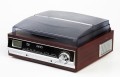 Camry Gramofon z radiem CR1113